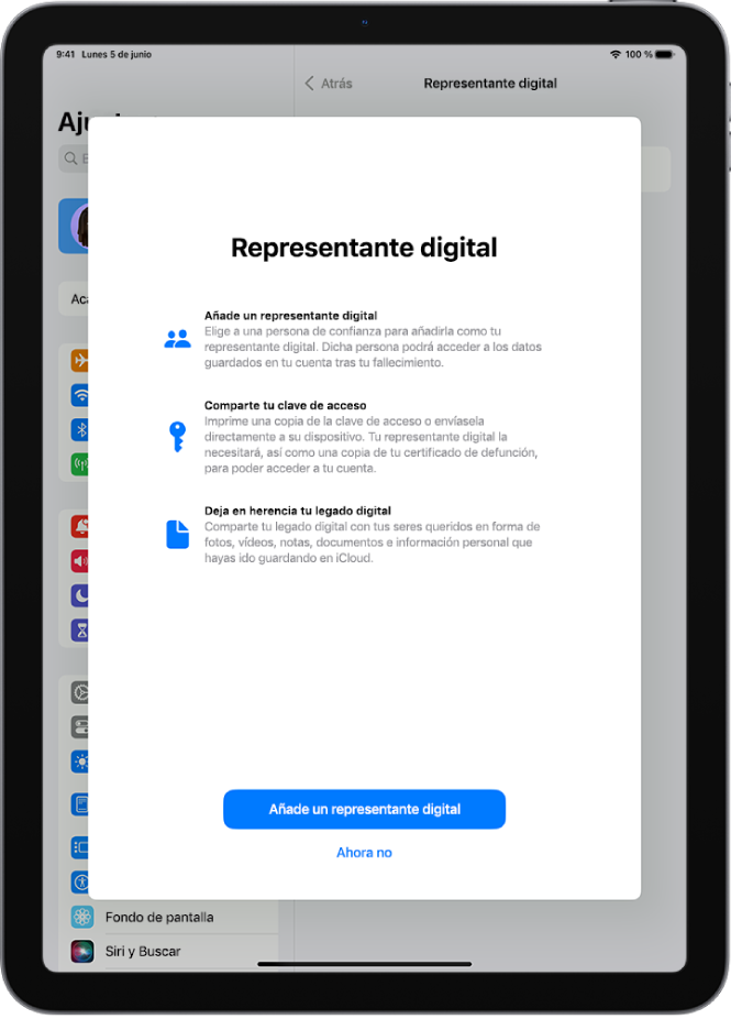 La pantalla “Representante digital”, con información sobre la función. El botón “Añadir representante digital” se encuentra en la parte inferior.