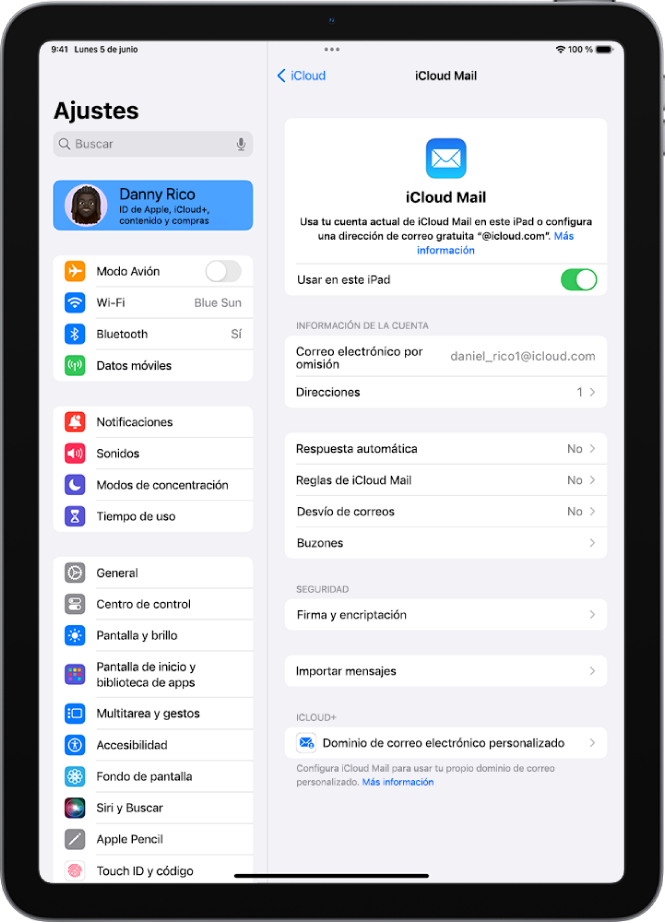 La app Ajustes está abierta en la pantalla “iCloud Mail”. En la parte inferior del menú está la opción “Dominio de correo electrónico personalizado”.