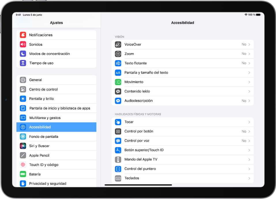 La pantalla de ajustes del iPad. En la parte izquierda de la pantalla está la barra lateral Ajustes; la opción Accesibilidad está seleccionada. En el lado derecho de la pantalla están las opciones personalizar las funciones de accesibilidad.