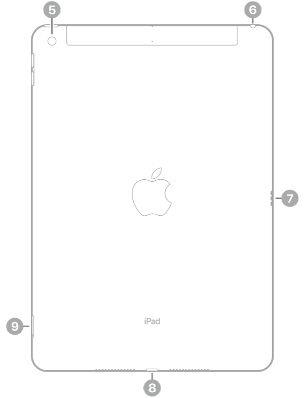 iPad takaa, selitteet takakameraan ylävasemmalla, kuulokeliitäntään yläoikealla, Smart Connector -liitäntään oikealla, Lightning-liitäntään keskellä alhaalla sekä SIM-alustaan (Wi-Fi + Cellular) alavasemmalla.