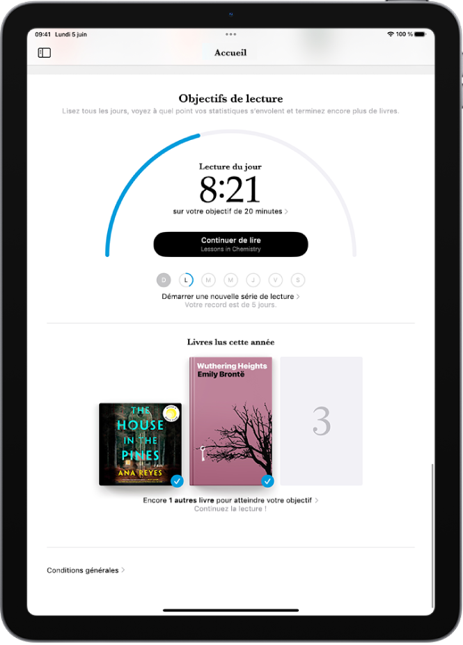Panneau En Bois Suivi De Lecture - Compteur Numérique D'objectifs Livres Lus - Décoration Et Motivation Lecteur