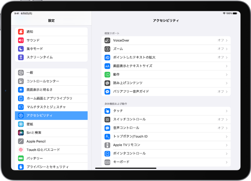 iPadの「設定」画面。画面の左側で「設定」サイドバーが開いていて、「アクセシビリティ」が選択されています。画面の右側にはアクセシビリティ機能をカスタマイズするオプションが表示されています。