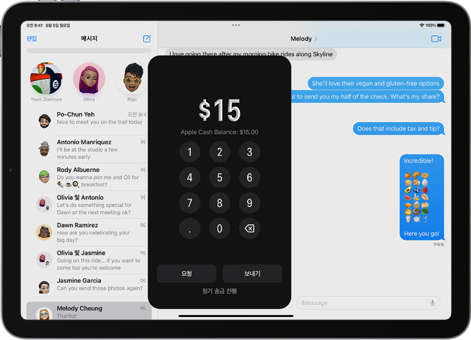 Apple Pay가 하단에 열려 있는 iMessage 대화.