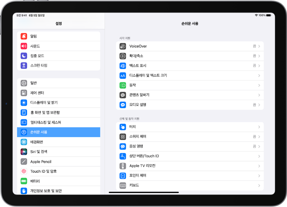 iPad 설정 화면. 화면 왼쪽에 설정 사이드바가 있고, 손쉬운 사용이 선택됨. 화면 오른쪽에는 손쉬운 사용 기능 사용자화 옵션이 있음.