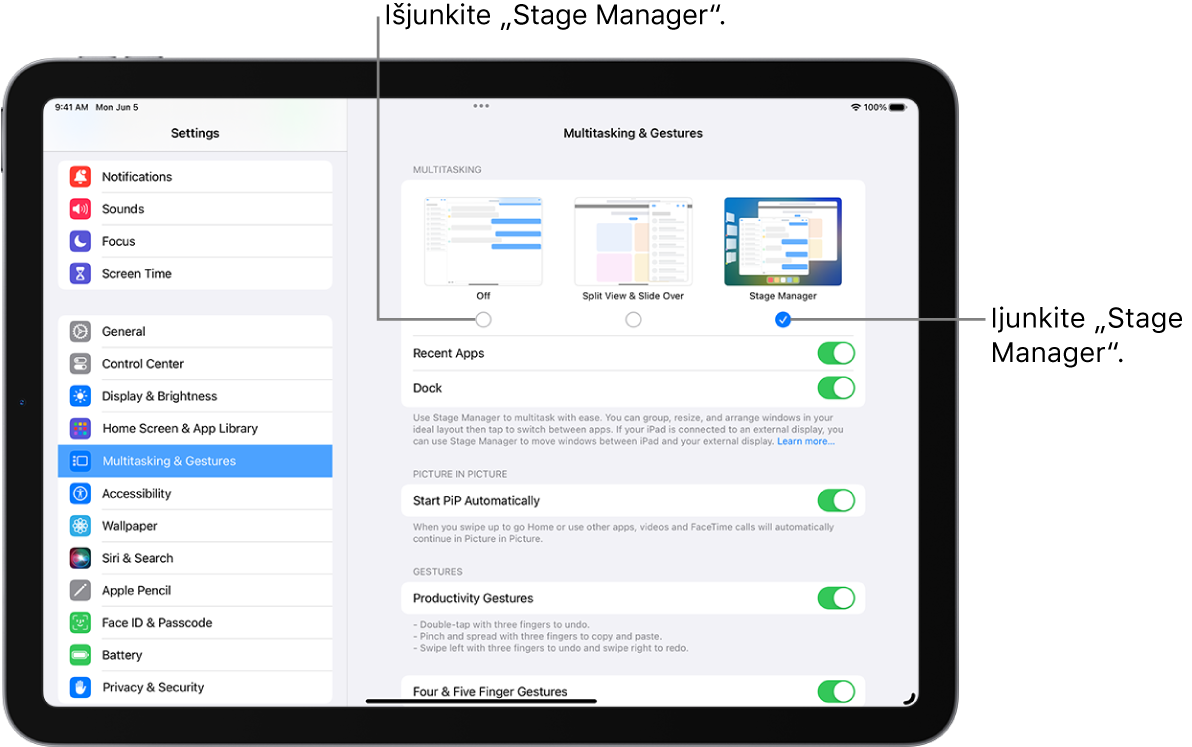 „iPad“ ekranas, kuriame rodomi valdikliai, skirti įjungti ar išjungti „Stage Manager“, paslėpti ar rodyti vėliausiai naudotų programų sąrašą, kai funkcija „Stage Manager“ įjungta, ir slėpti ar rodyti „Dock“, kai funkcija „Stage Manager“ įjungta.