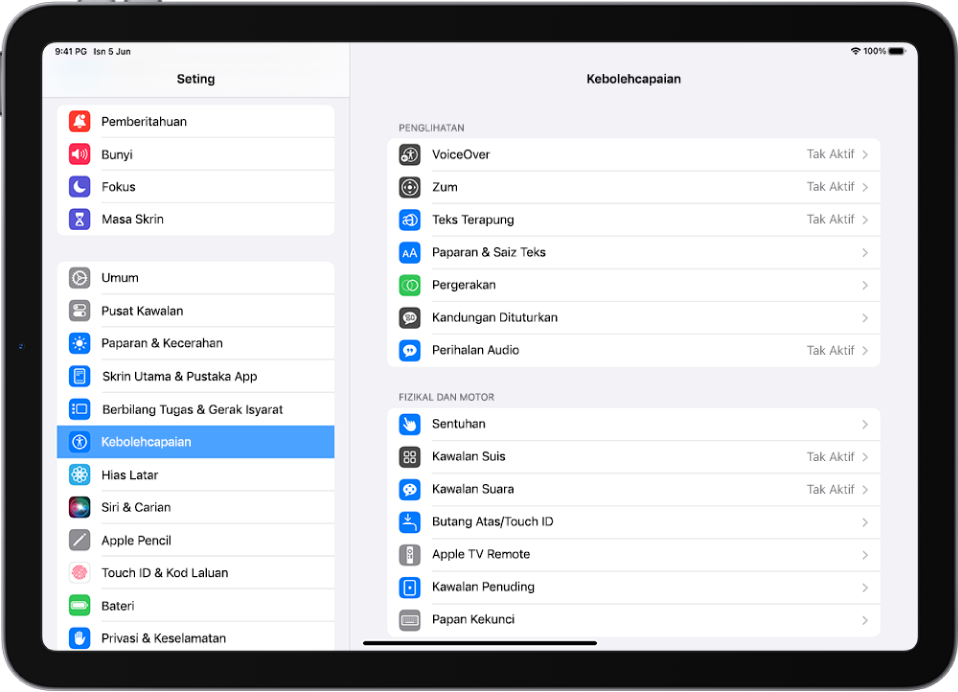 Skrin Seting iPad. Di sebelah kiri skrin ialah bar sisi Seting; Kebolehcapaian dipilih. Di sebelah kanan skrin ialah pilihan untuk menyesuaikan ciri Kebolehcapaian.