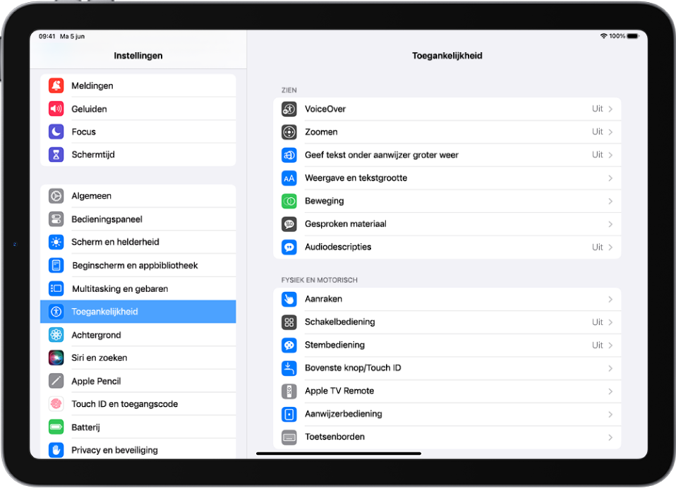 Het Instellingen-scherm van de iPad. Aan de linkerkant van het scherm staat de navigatiekolom van Instellingen; 'Toegankelijkheid' is geselecteerd. Aan de rechterkant van het scherm staan de opties voor aanpassing van de toegankelijkheidsvoorzieningen.