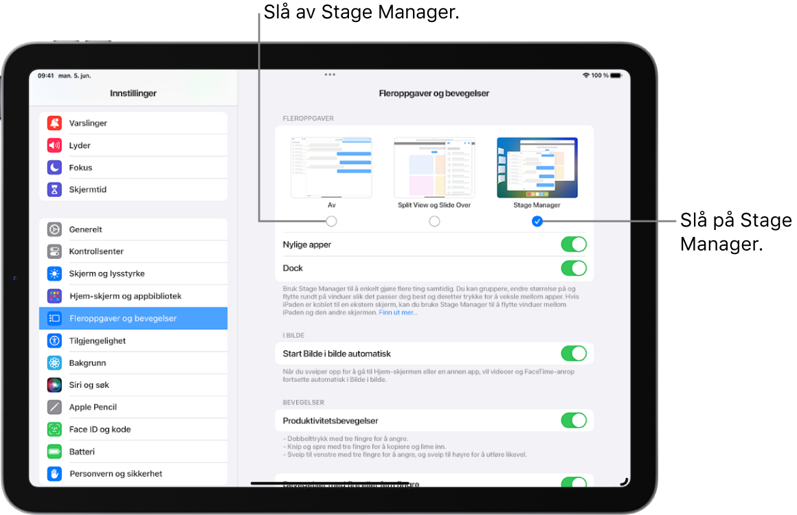 En iPad-skjerm som viser kontrollene for å slå av eller på Stage Manager, skule eller vise listen over nylig brukte apper når Stage Manager er på, og skjule eller vise Dock når Stage Manager er på.