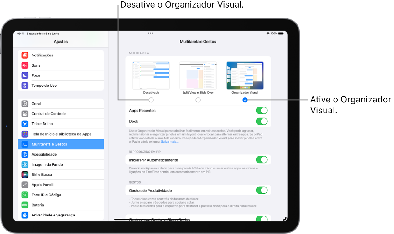 Tela do iPad mostrando os controles para ativar ou desativar o Organizador Visual, ocultar ou mostrar a lista de apps recentes quando o Organizador Visual está ativado e ocultar ou mostrar o Dock quando o Organizador Visual está ativado.
