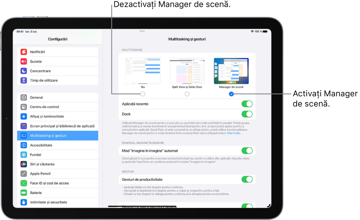 Ecranul unui iPad prezentând comenzile pentru activarea sau dezactivarea Manager de scenă, ascunderea sau afișarea listei de aplicații recente când funcționalitatea Manager de scenă este activată și pentru ascunderea sau afișarea Dock‑ului când funcționalitatea Manager de scenă este activată.
