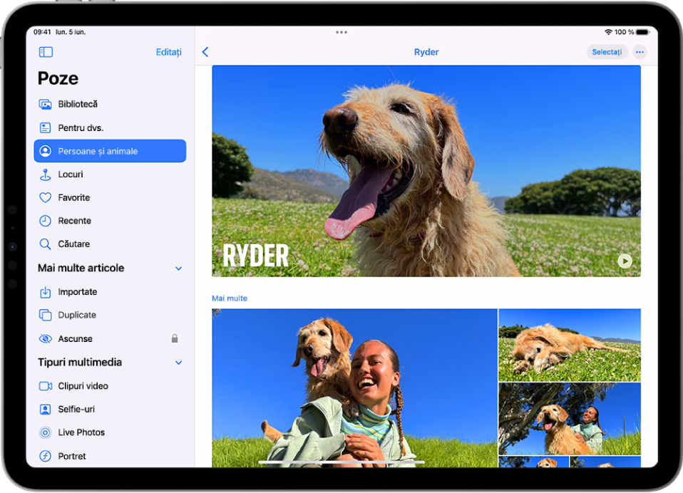 Ecranul Persoane și animale din aplicația Poze afișând un clip video și poze ale unui animal de companie.