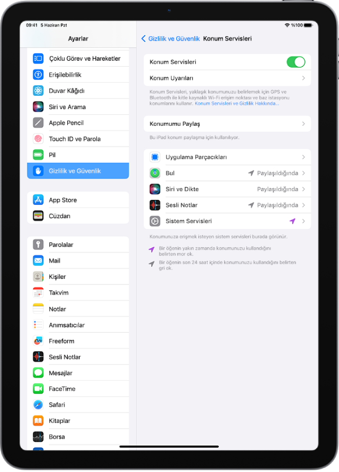 Gizlilik ve Güvenlik ayarlarında, ayrı ayrı uygulamalar için özel ayarlar da dahil olmak üzere iPad’inizin konumunu paylaşma seçenekleri ile Konum Servisleri ayarları.