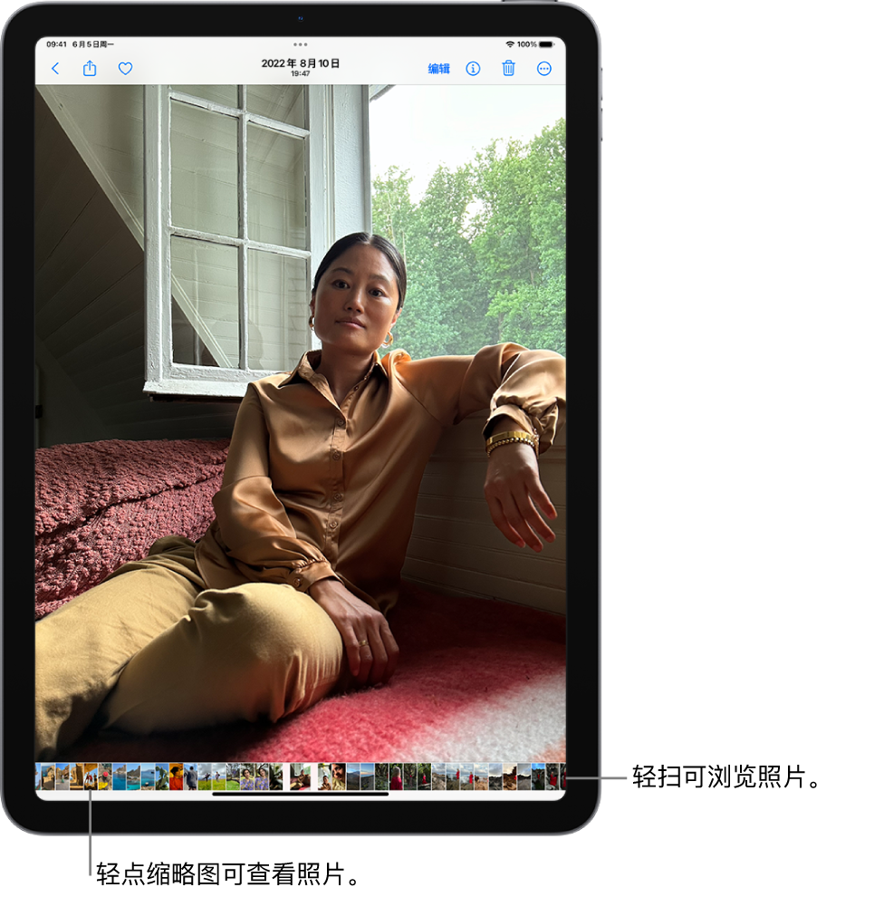 “照片” App 以全屏幕显示一张照片。屏幕底部是图库中其他照片的缩略图。