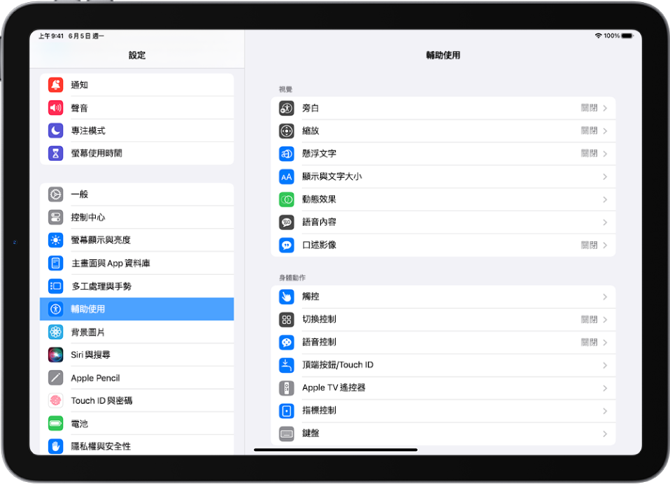 iPad 「設定」畫面。螢幕左側是「設定」側邊欄；已選取「輔助使用」。畫面右側是自訂「輔助使用」功能的選項。