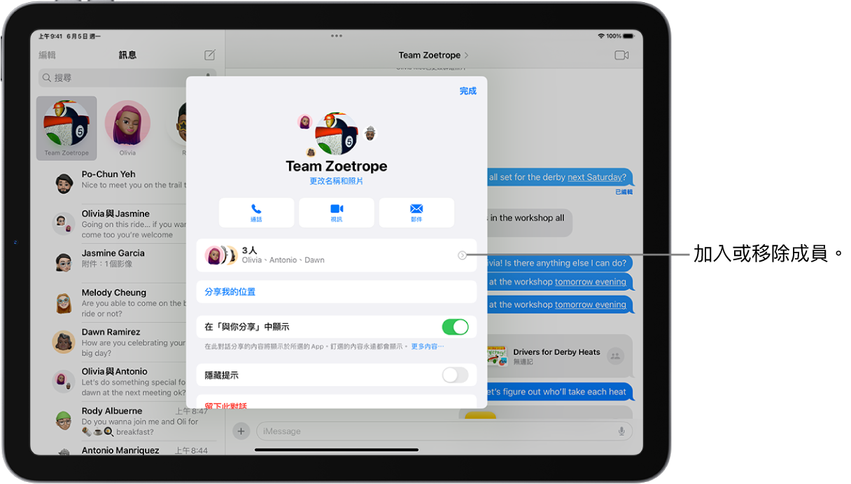 iPad 畫面顯示群組的對話詳細資訊。