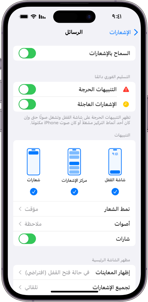 iPhone يعرض إعدادات الرسائل للإشعارات والتنبيهات.