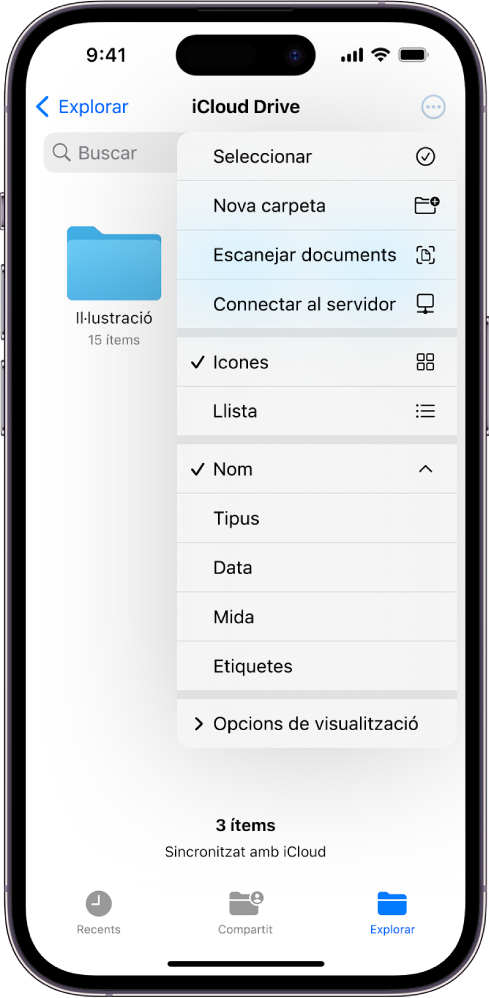 L’app Arxius amb el botó “Més” seleccionat. Al menú visible hi ha les opcions “Seleccionar”, “Nova carpeta”, “Escanejar documents” i “Connectar al servidor”. A sota hi ha opcions per veure ítems a la pantalla com a icones o una llista. A la part inferior hi ha opcions per ordenar segons el nom, el tipus, la data, la mida i les etiquetes, seguides per la funció “Opcions de visualització”.