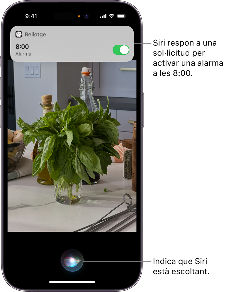Pantalla d’un iPhone. Cap a la part superior de la pantalla, una notificació de l’app Rellotge avisa que hi ha una alarma activada per a les 8:00 h. A la part inferior de la pantalla, una icona indica que Siri està escoltant.