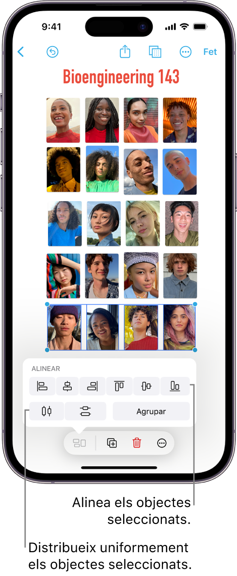 Pissarra de l’app Freeform amb una retícula de fotos. Hi ha diverses fotos seleccionades i les eines d’alineació i agrupació hi apareixen a sobre.