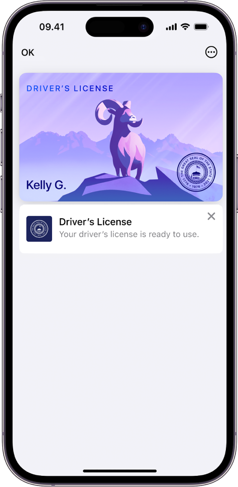 Et kørekort i appen Wallet. Knappen OK findes øverst til venstre, og knappen Mere findes øverst til højre.