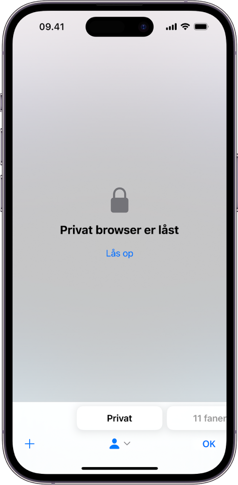 Safari er åben med Privat browser. Midt på skærmen ses ordene Privat browser er låst. Under det er der en knap til oplåsning.