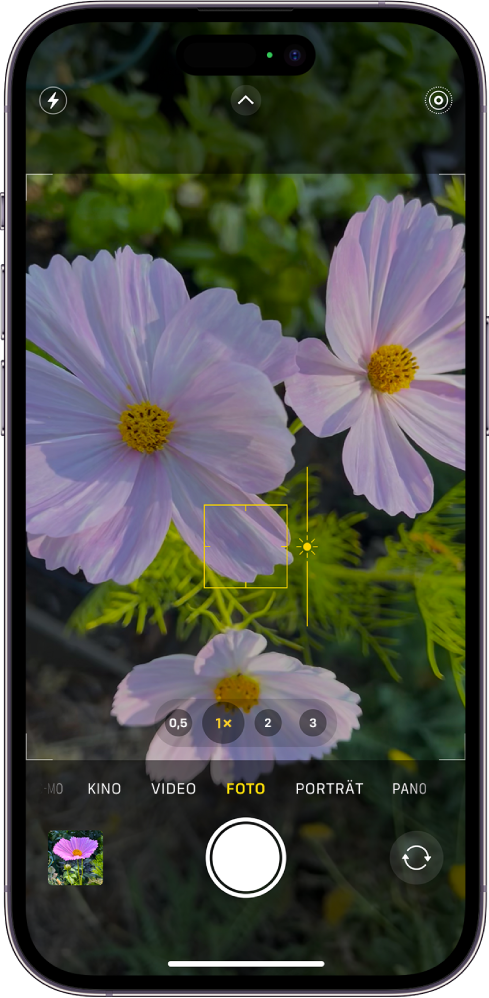 Die App „Kamera“ im Modus „Foto“. Der Sucher mit fixiertem Fokus auf einem Motiv und einem Regler zum Anpassen der Helligkeitsstufe neben dem Motiv.