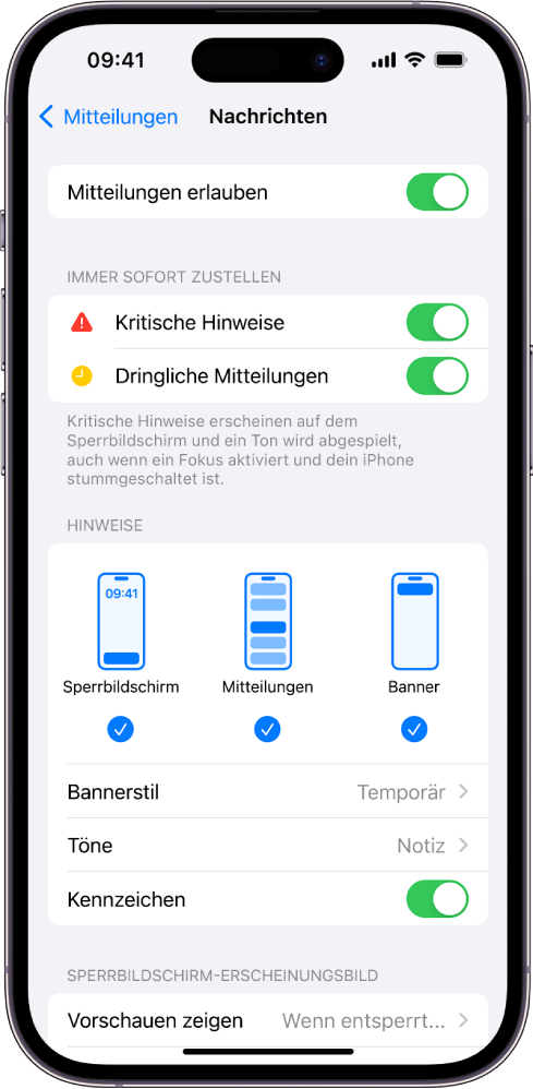 iPhone mit Einstellungen für Mitteilungen und Hinweise für die App „Nachrichten“.