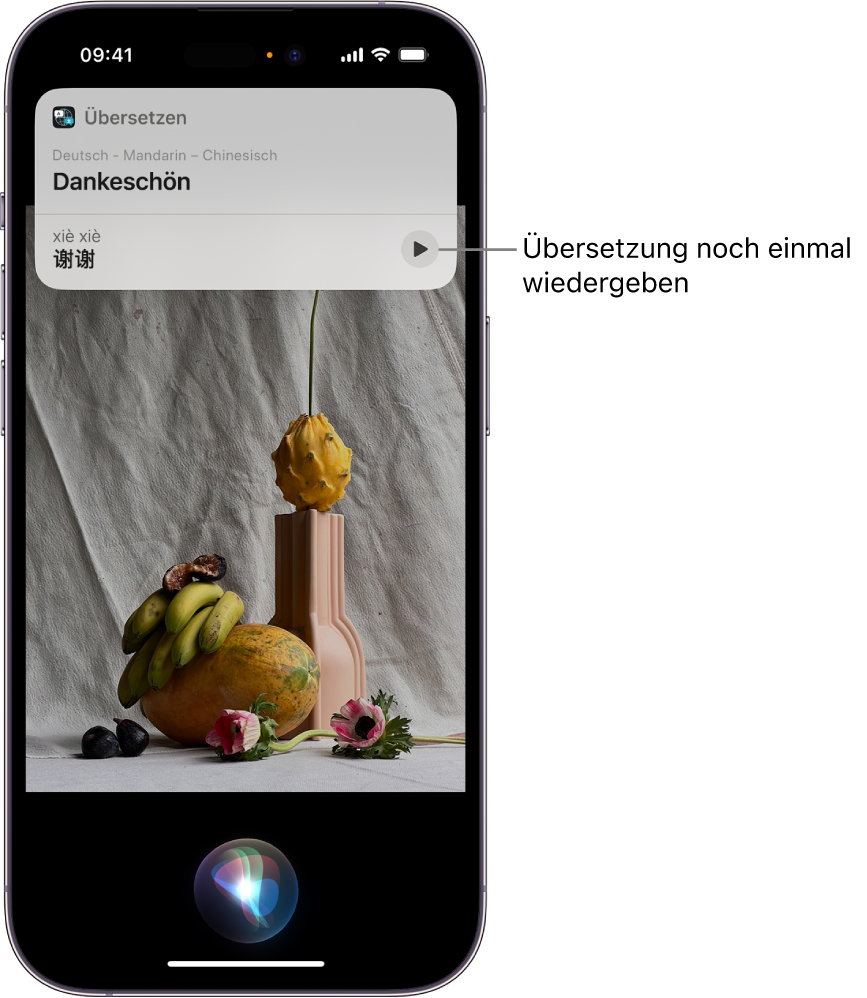 Ein iPhone-Bildschirm, der unten die Anzeige, dass Siri zuhört, und oben eine Antwort von Siri in Form einer Übersetzung [von Englisch nach Mandarin] enthält.