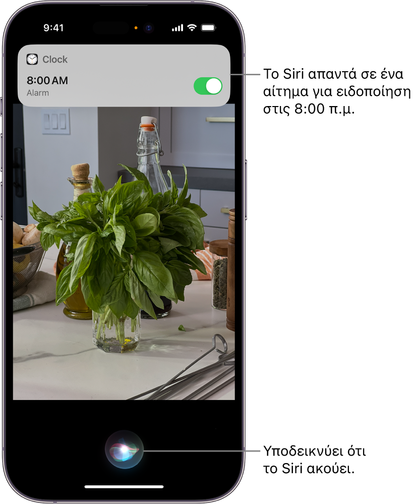 Μια οθόνη iPhone. Κοντά στο πάνω μέρος της οθόνης, μια γνωστοποίηση από την εφαρμογή «Ρολόι» δείχνει ότι μια ειδοποίηση έχει ενεργοποιηθεί για τις 8:00 π.μ. Ένα εικονίδιο στο κάτω μέρος της οθόνης υποδεικνύει ότι το Siri ακούει.