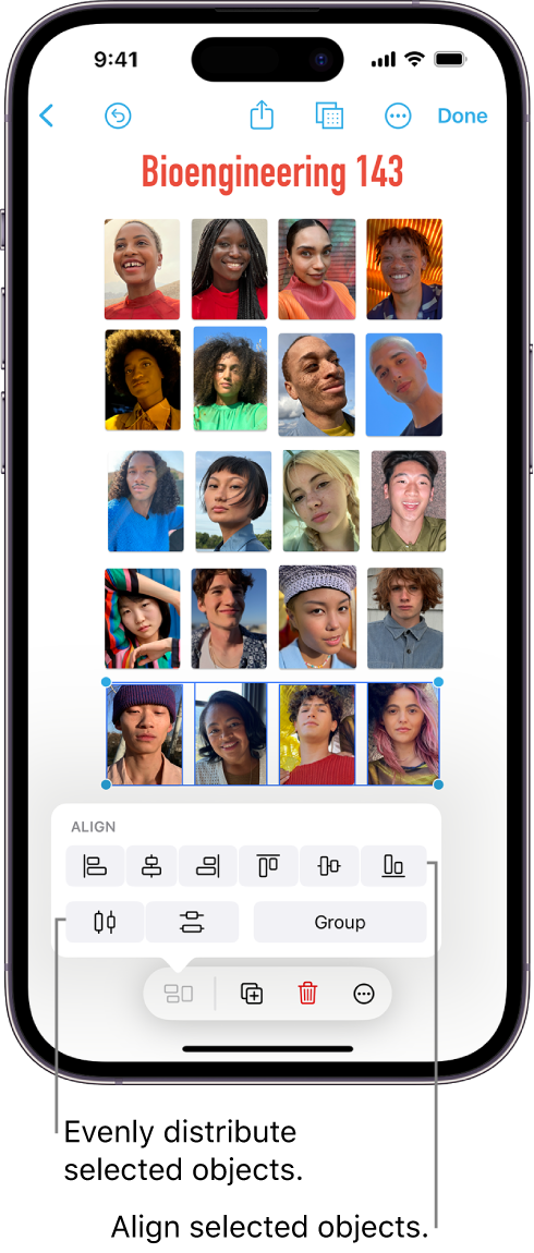 A Freeform board filled with a grid of photos. Several photos are selected, and the alignment and grouping tools appear above them.