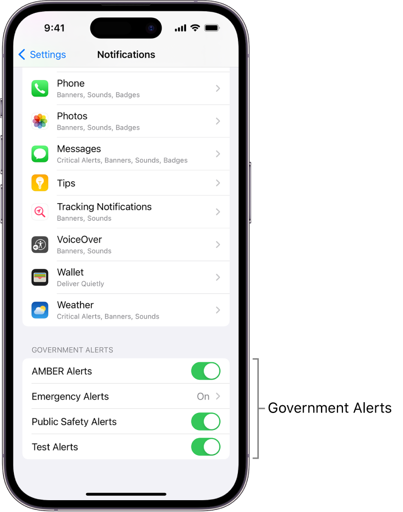 The Notifications screen, showing the Government Alerts you can turn on to receive government alerts.