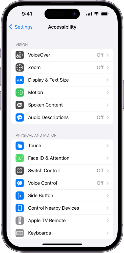 The Accessibility screen in Settings showing the following built-in features, from top to bottom: Vision features including VoiceOver, Zoom, Display and Text Size, Motion, Spoken Content, Audio Descriptions, and Physical and Motor features including Touch and Face ID and Attention.