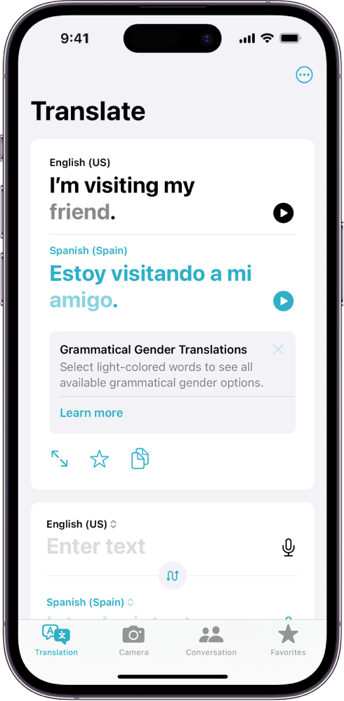 The Translation tab, showing a translated phrase from English to Spanish, and a word with different gender variations highlighted in gray.