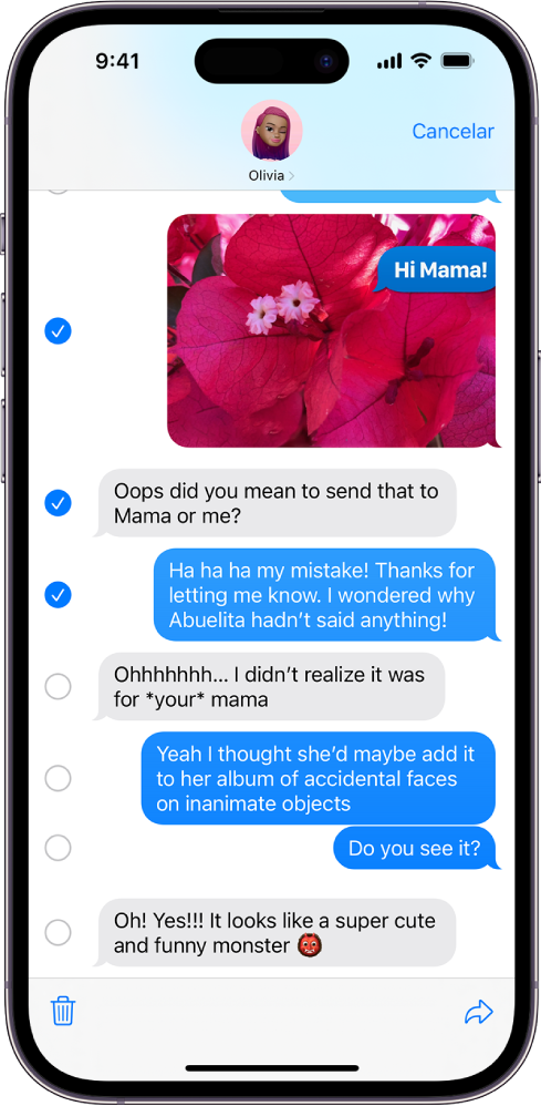 Una conversación de Mensajes con varios mensajes seleccionados para su eliminación.