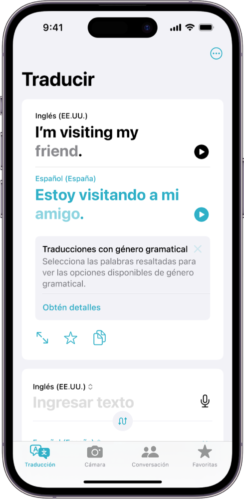 La pestaña Traducción mostrando una frase traducida del inglés al español y una palabra con distintas variaciones de género resaltadas en gris.