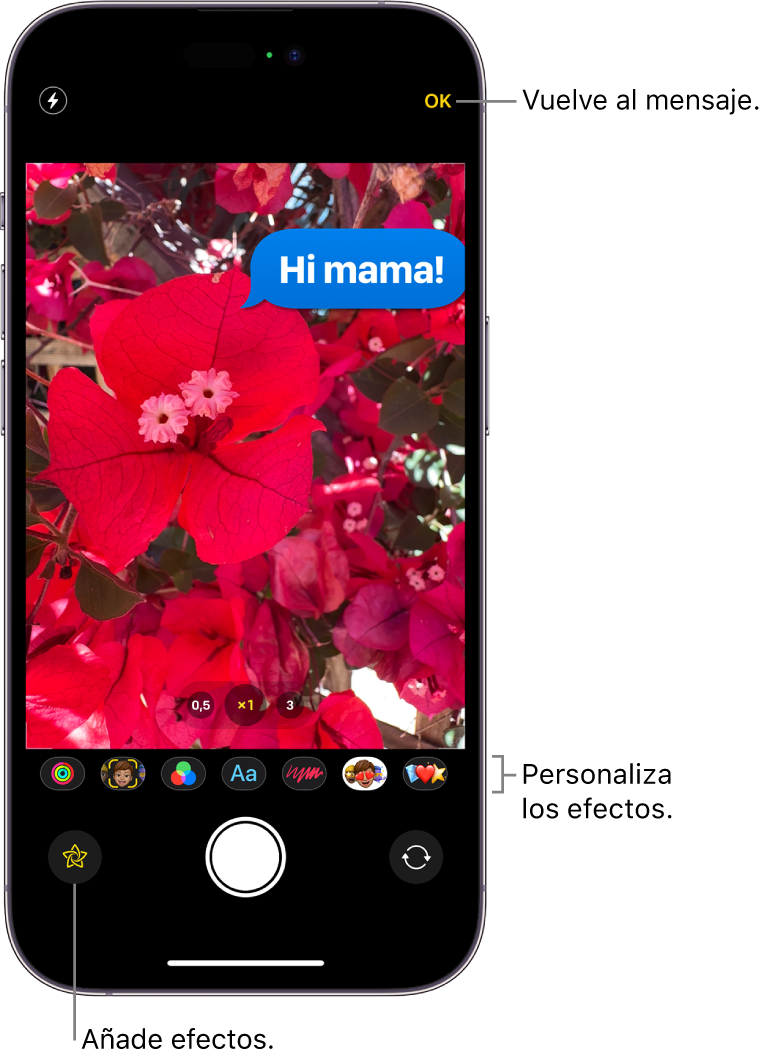 Edición de una foto desde la app Mensajes. Debajo de la foto hay opciones para aplicar distintos efectos.