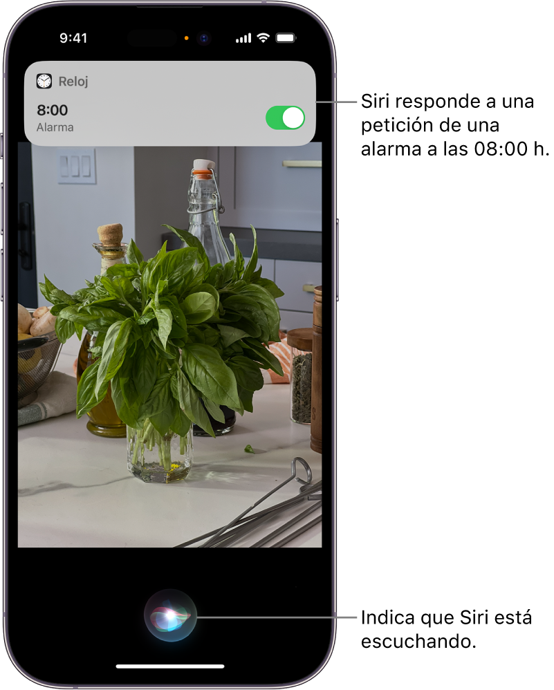 Una pantalla del iPhone. Cerca de la parte superior de la pantalla, una notificación de la app Reloj muestra que se ha programado una alarma para las 8 de la mañana. Un icono en la parte inferior de la pantalla indica que Siri está escuchando.