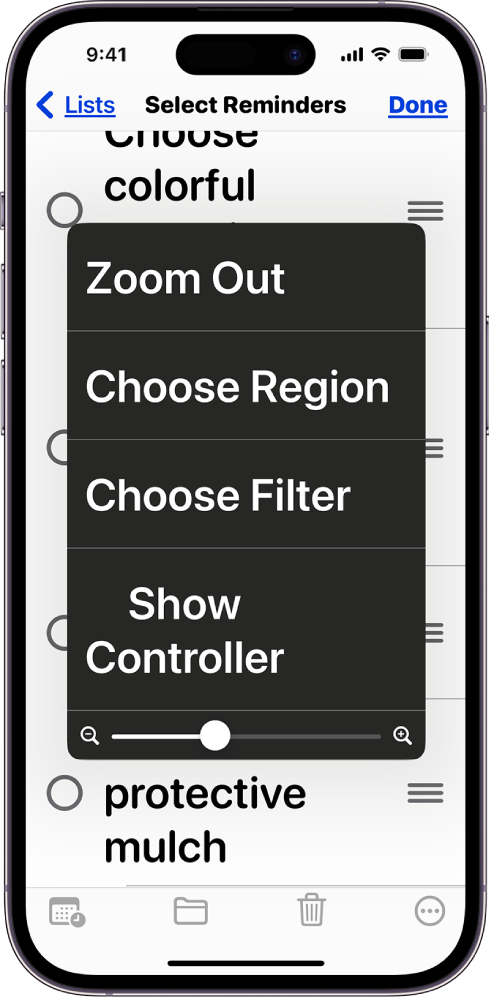iPhone’i ekraanil kuvatakse menüüd Zoom.
