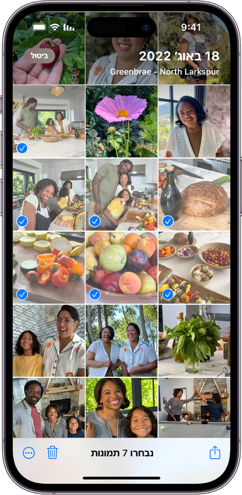מסך ה‑iPhone מלא ברשת של תמונות, שבע מהן נבחרו. בתחתית המסך מופיעים הכפתורים ״שיתוף״, ״מחיקה״ ו״עוד״.