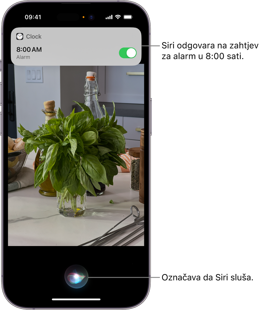 Zaslon iPhonea Blizu vrha zaslona prikazuje se obavijest iz aplikacije Sat u kojoj stoji da je uključen alarm za 8:00 sati. Ikona na dnu zaslona označava da Siri sluša.