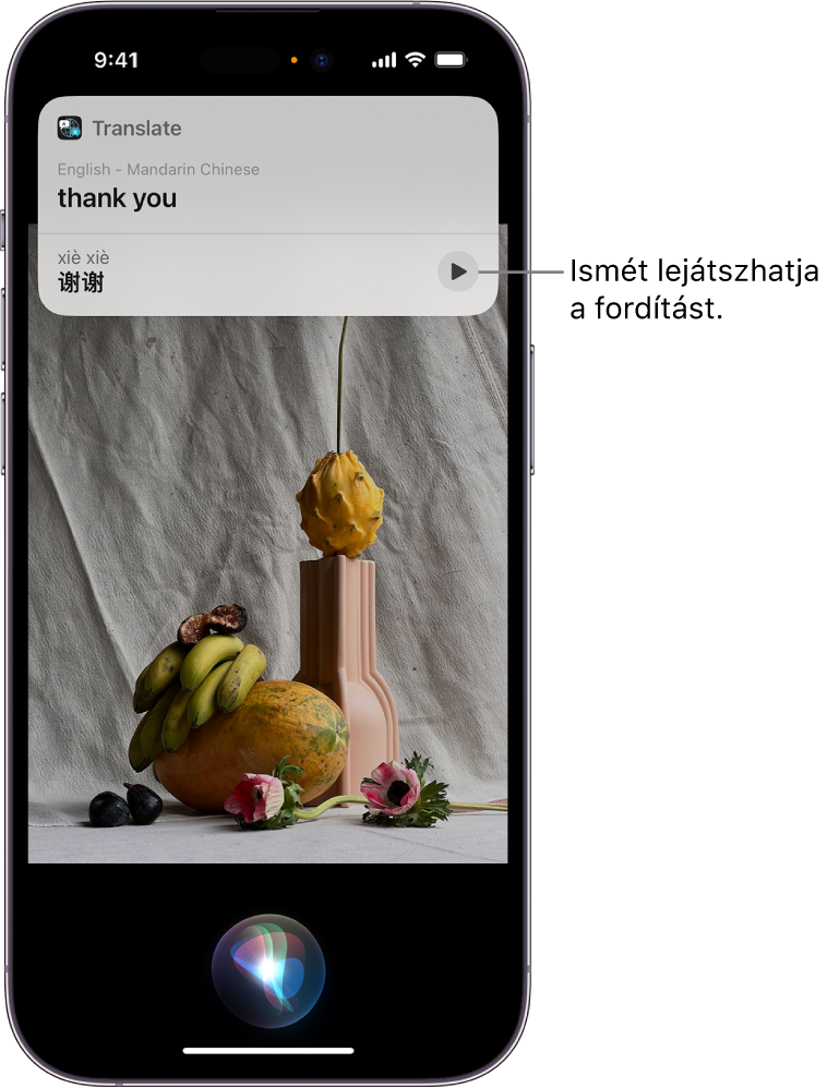 Az iPhone képernyője, amelynek alján Siri hangérzékelésre utaló szimbóluma látható, a tetején pedig egy válasz Siritől egy angolról mandarinra történő fordítás formájában.