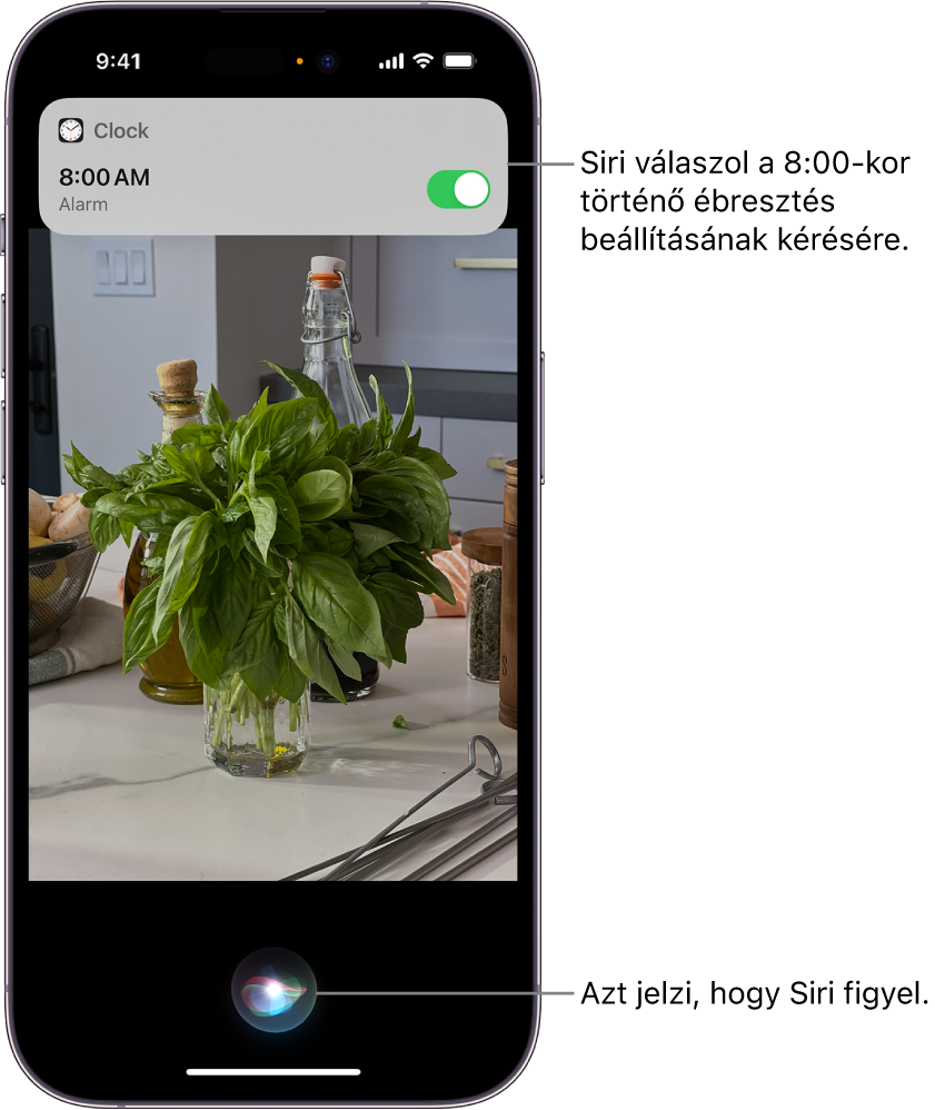 Az iPhone képernyője. A képernyő tetején az Óra app értesítése azt jelzi, hogy az ébresztés be lett kapcsolva reggel 8 órára. A képernyő alján lévő ikon azt jelzi, hogy Siri elérhető.