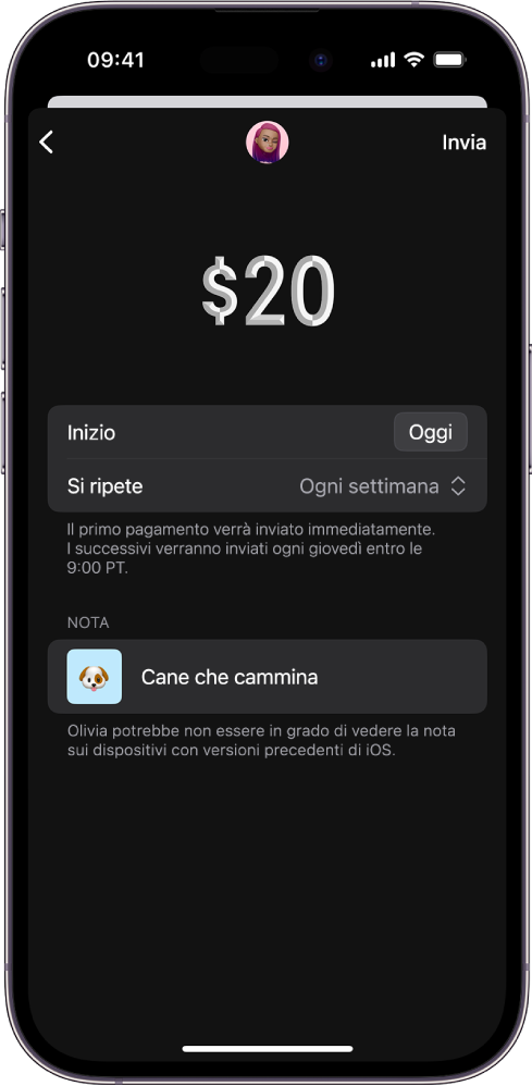 Una schermata che mostra le opzioni per inviare un pagamento ricorrente.