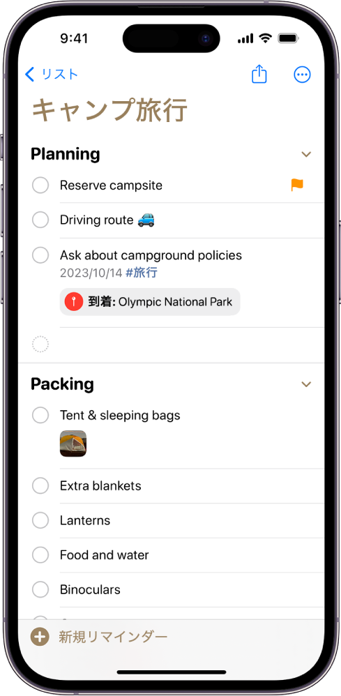 「リマインダー」のキャンプ旅行のチェックリスト。いくつかの項目にはタグ、位置情報、フラグ、写真が付けられています。左下に「新規リマインダー」ボタンがあります。