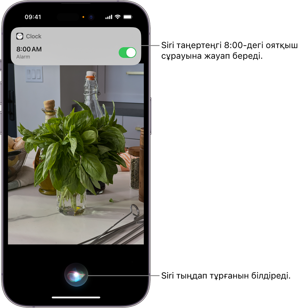 iPhone экраны. Экранның жоғарғы жағында «Сағат» қолданбасының хабарландыруы дабылдың таңғы 8:00-ге қосылғанын көрсетеді. Экранның төменгі жағындағы белгіше Siri тыңдап жатқанын көрсетеді.