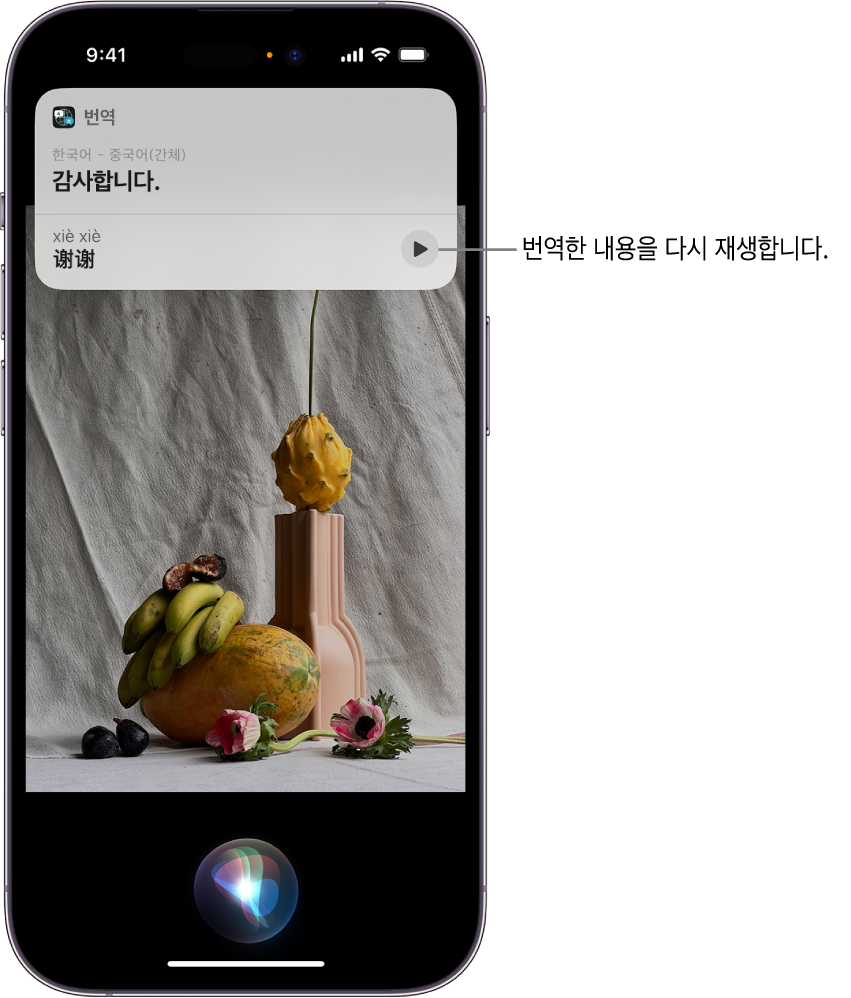 하단에 Siri 듣기 표시기와 상단에 Siri 응답이 번역 형식[영어에서 중국어]으로 있는 iPhone 화면.