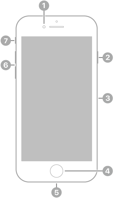 iPhone SE(2세대)의 전면. 스피커 왼쪽 상단에 전면 카메라가 있음. 오른쪽에는 위에서 아래로 측면 버튼과 SIM 트레이가 있음. 하단 중앙에 홈 버튼이 있음. 하단 가장자리에 Lightning 커넥터가 있음. 왼쪽에는 아래에서 위로 음량 버튼 및 벨소리/무음 스위치가 있음.