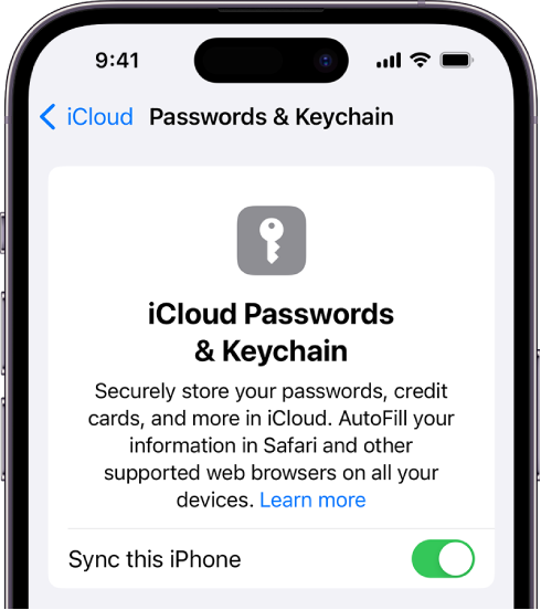 Ekranas „iCloud Passwords & Keychain“ ir nustatymas, skirtas sinchronizuoti šį „iPhone“.
