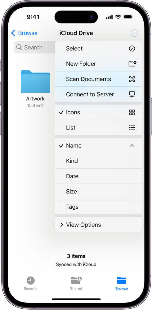 Programa „Files“, kurioje pasirinktas mygtukas „More“. Matomame meniu yra parinktys „Select“, „New Folder“, „Scan Documents“ ir „Connect to Server“. Toliau pateikiamos parinktys, kuriomis galite peržiūrėti elementus ekrane kaip „Icons“ arba „List“. Apačioje pateikiamos rikiavimo parinktys: „Name“, „Kind“, „Date“, „Size“ ir „Tags“, tada seka „View Options“.