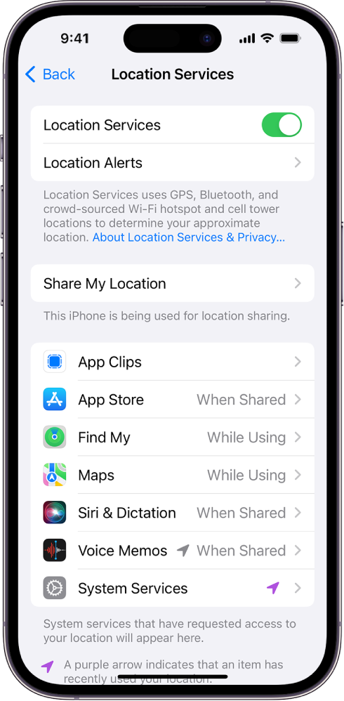Ekranas „Location Services“, pateikiami „iPhone“ vietos bendrinimo nustatymai, įskaitant pasirinktinius atskirų programų nustatymus.